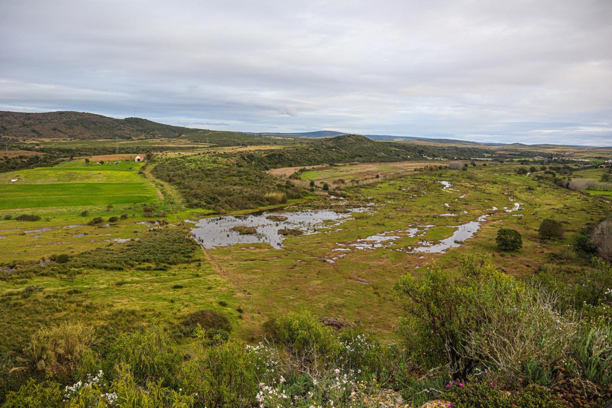Outeniquabosch Lodge Hartenbos Eksteriør billede